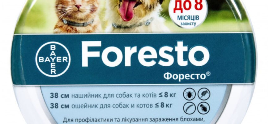 Найкращий нашийник для собак: захист від бліх і кліщів гарантовано