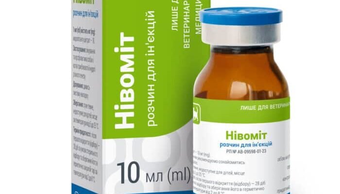 Нівоміт: основні причини та що робити при нудоті та блюванні