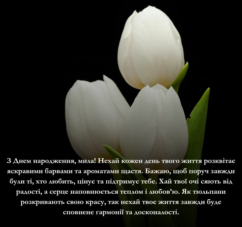 З днем народження тюльпани: 12 картинок та привітання