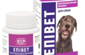 Новітні ліки від епілепсії для собак: ефективність та використання Новітні ліки від епілепсії для собак: ефективність та використання