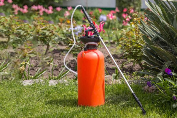 Оптимальні засоби для обробки газону від бур’янів: ефективні рішення