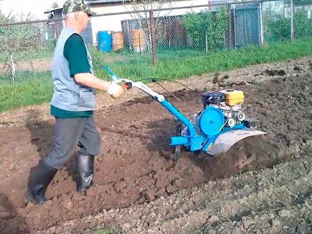 Найкращі післясходові гербіциди для картоплі. Топ-5.