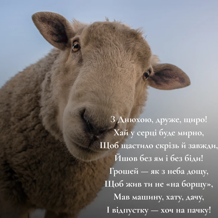 З Днем народження другу: Смішні картинки та побажання