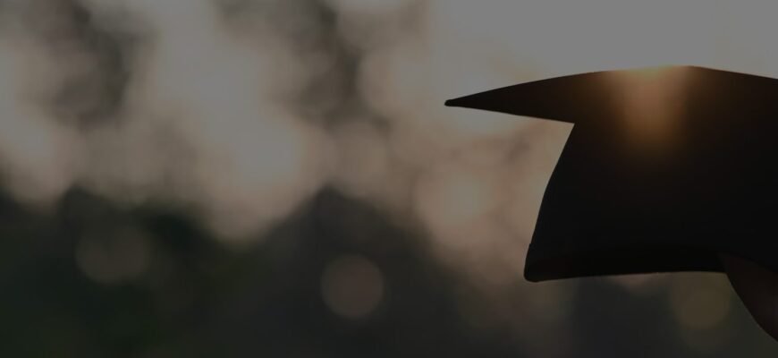 Основні відмінності між коледжем та університетом: що обрати?