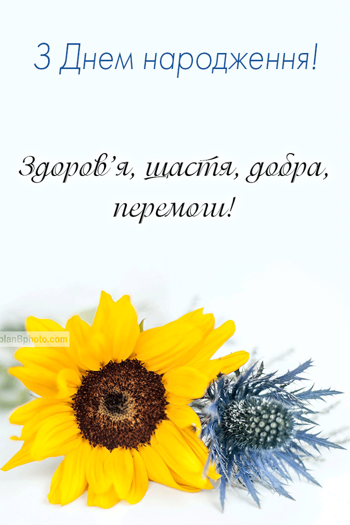 Привітання з днем народження під час війни