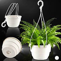 Підвісні Кашпо Оптом Від Виробника: Найкращі Пропозиції на Ринку