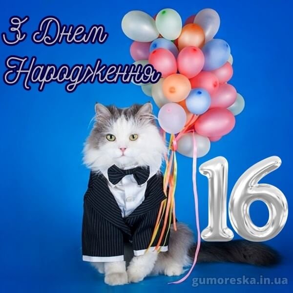 Привітання з Днем Народження хлопчику 16 років – читати онлайн