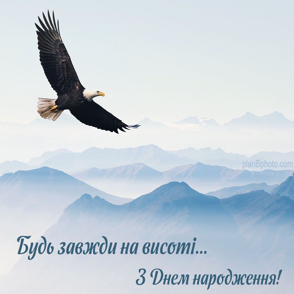 Привітання з днем народження мужчині: картинки