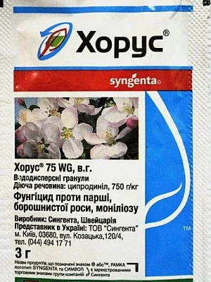 Препарати для боротьби з оїдіумом на винограді: ефективні рішення