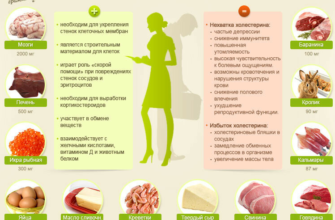 Причини підвищення холестерину: основні фактори та як їх уникнути