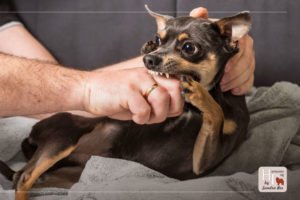 Костянтинівська міська військова адміністрація — Управління ...