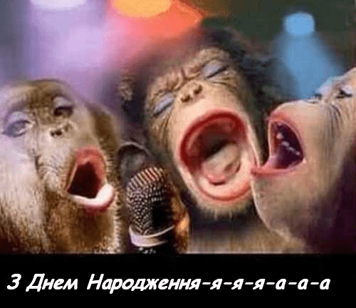 Прикольні та смішні привітання з Днем народження у прозі | ВІТАННЯ