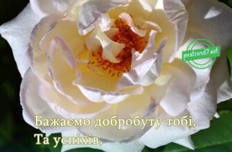 Привітання з Днем народження для Ірини: кращі побажання й поради
