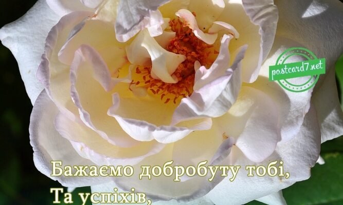 Привітання з Днем народження для Ірини: кращі побажання й поради