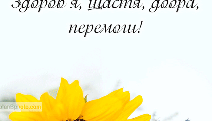 Привітання з Днем народження для військового: Щастя, здоров’я, перемог!