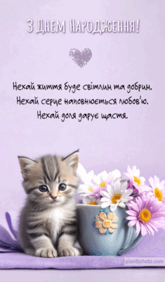 Привітання з днем народження котику: побажання, подарунки, ідеї святкування