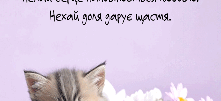 Привітання з днем народження котику: побажання, подарунки, ідеї святкування