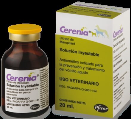 Серенія: основні причини виникнення та як з ними боротися