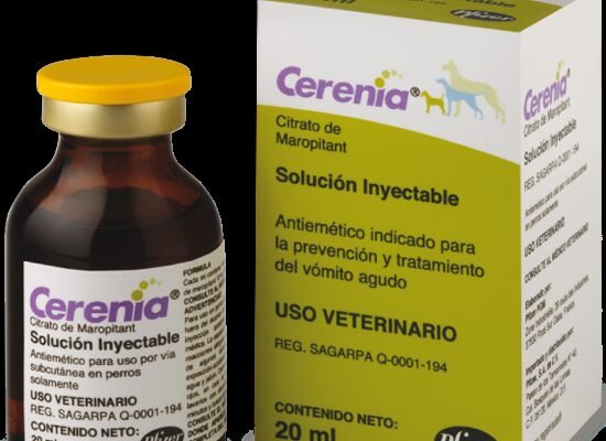 Серенія: основні причини виникнення та як з ними боротися