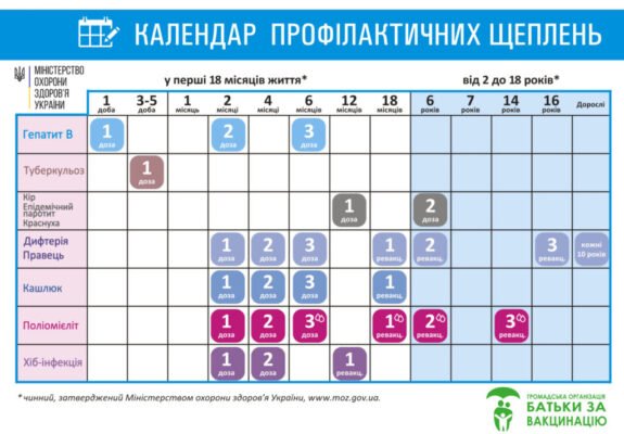Схема щеплення від сказу: Розклад та важливі рекомендації Схема щеплення від сказу: Розклад та важливі рекомендації