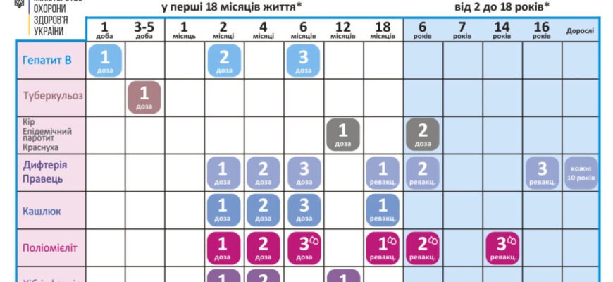 Схема щеплення від сказу: Розклад та важливі рекомендації