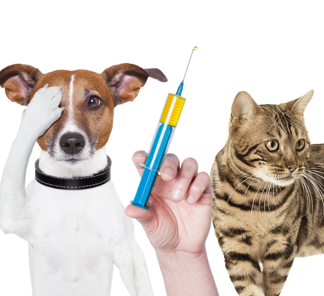 Вакцинація. Запитання та відповіді. - ГО “Батьки за вакцинацію”