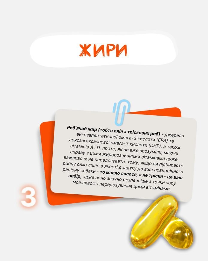 Корисні продукти для собак: що можна їсти собакам знає Practik