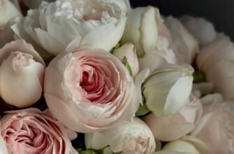 Щирі й теплі вітання з днем народження для жінки своїми словами