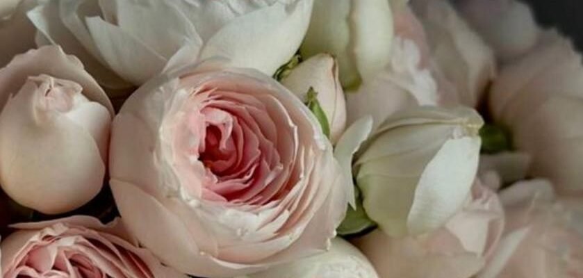 Щирі й теплі вітання з днем народження для жінки своїми словами