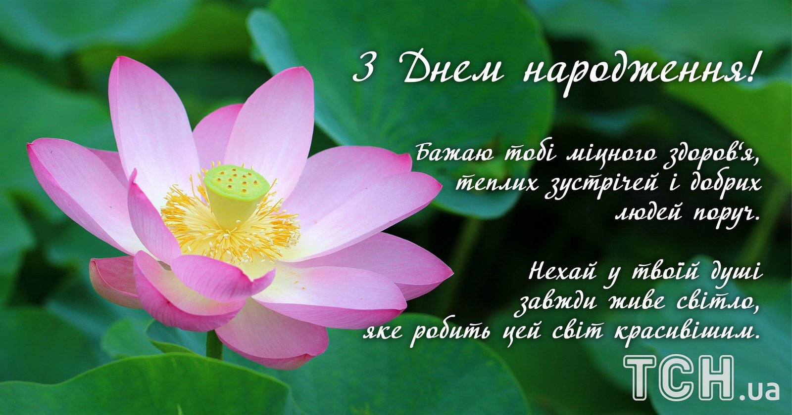 З днем народження жінці: привітання своїми словами та у віршах ...