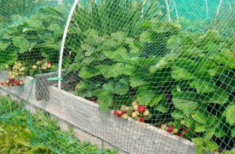 Сітка від птахів 8х10: Захист вашого врожаю ефективно та надійно