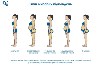 Скільки часу зберігається ефект від ліполітиків: повний огляд