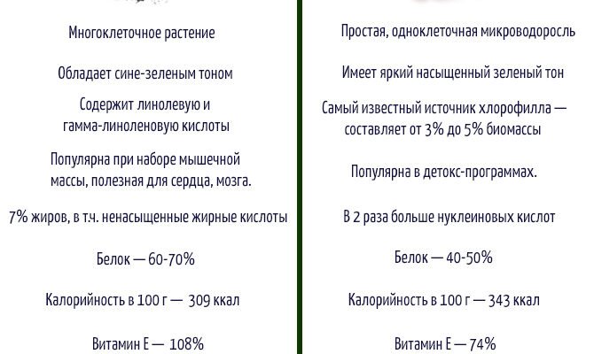 Спіруліна: основні корисні властивості та її вплив на організм