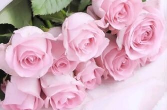 Сучасні листівки для привітання з днем народження: ідеї та поради