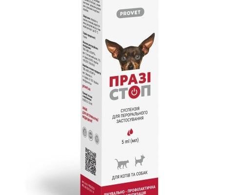 Суспензія від глистів для собак: ефективний захист вашого улюбленця