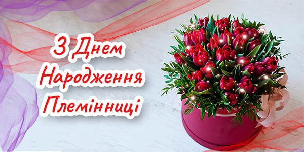 Нові Привітання Племінниці з Днем Народження - Побажайко