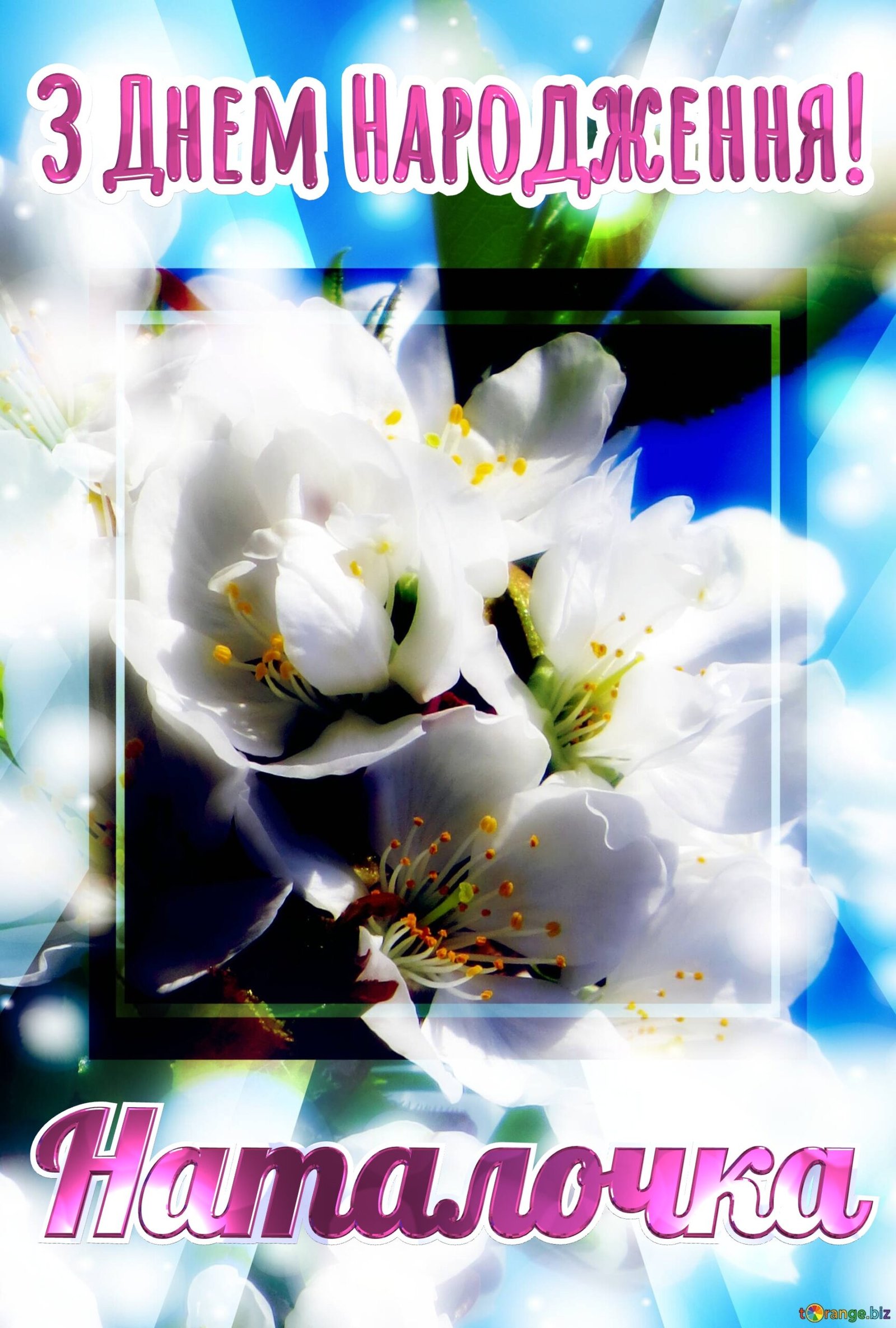 Наталочка З Днем Народження! Безкоштовна картинка - 8037