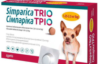 Таблетка від кліщів для собак: захист на 3 місяці від паразитів