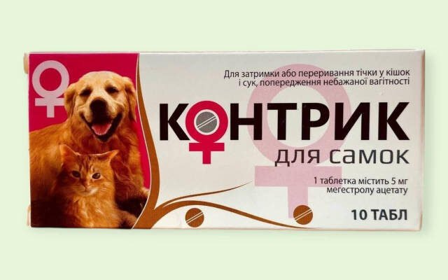 Таблетки для собак: ефективні рішення для контролю тічки