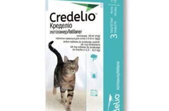 Таблетки від кліщів для котів: ефективний захист вашого улюбленця