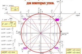 Таблиця синусів від 0 до 180 градусів: точні значення та використання
