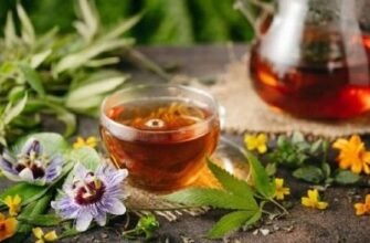 Трав’яний чай від кашлю для дітей: природний спосіб лікування