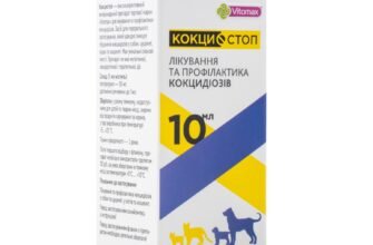 Тромексиновет: Від чого допомагає цей ветеринарний препарат?