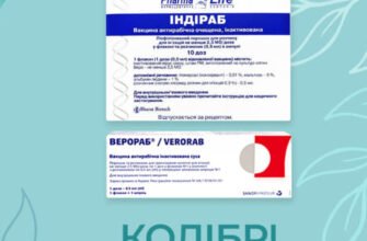 Ціна на вакцину від сказу: актуальні дані та порівняння цін у 2023 році