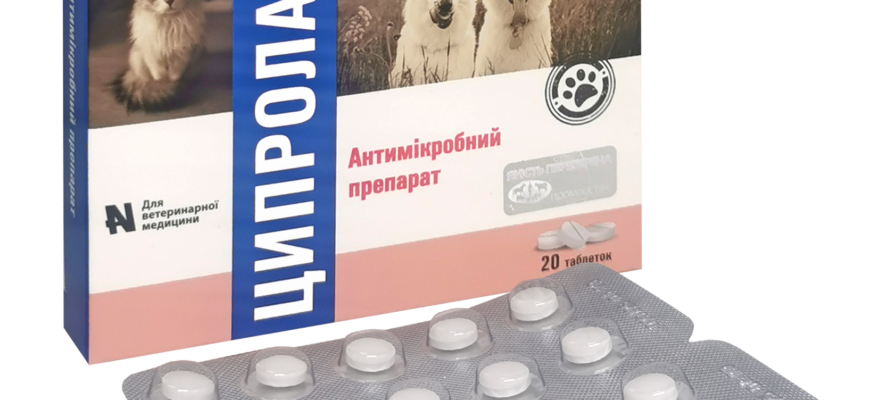 Ципролак: Від яких хвороб допомагає та як правильно застосовувати?