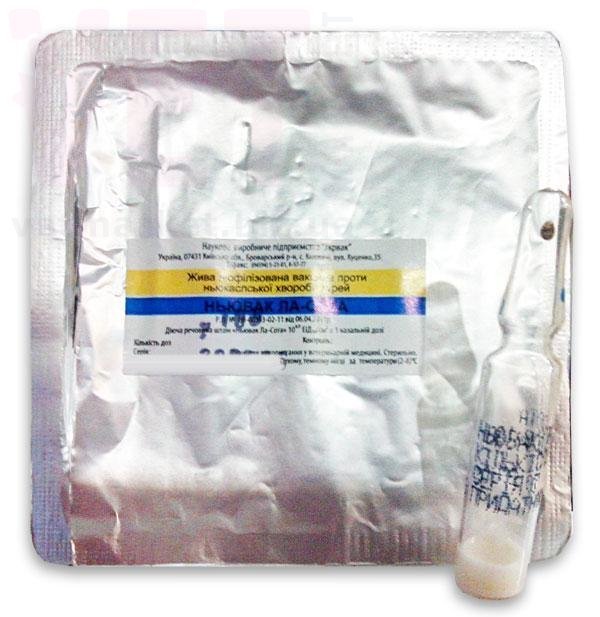 Хвороба Ньюкасла у птиці – що треба знати і як протидіяти ...