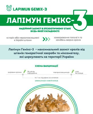 Вакцинація кроликів: Захист від геморагічної хвороби ефективно