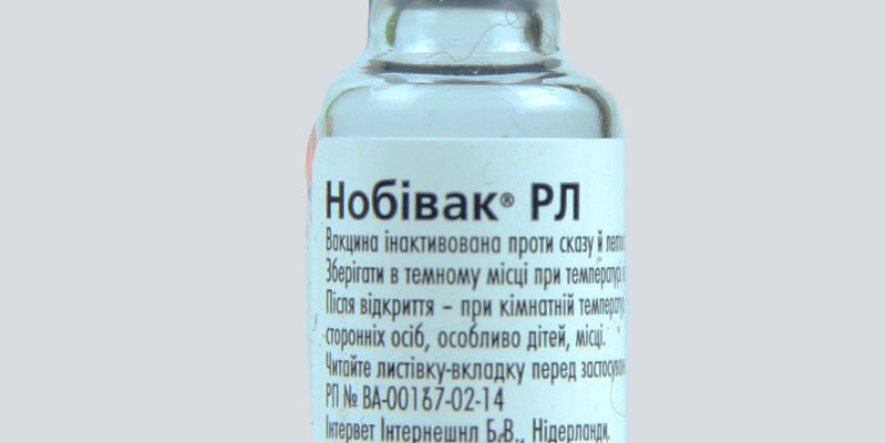 Вартість вакцини від сказу: скільки коштує захист від небезпечної хвороби?