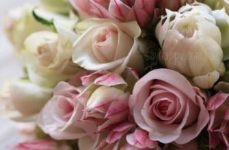 Вероніка, з Днем народження! Вітання та найкращі побажання для тебе!