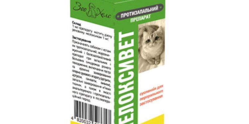Від чого допомагає Мелоксивет: основні показання та застосування